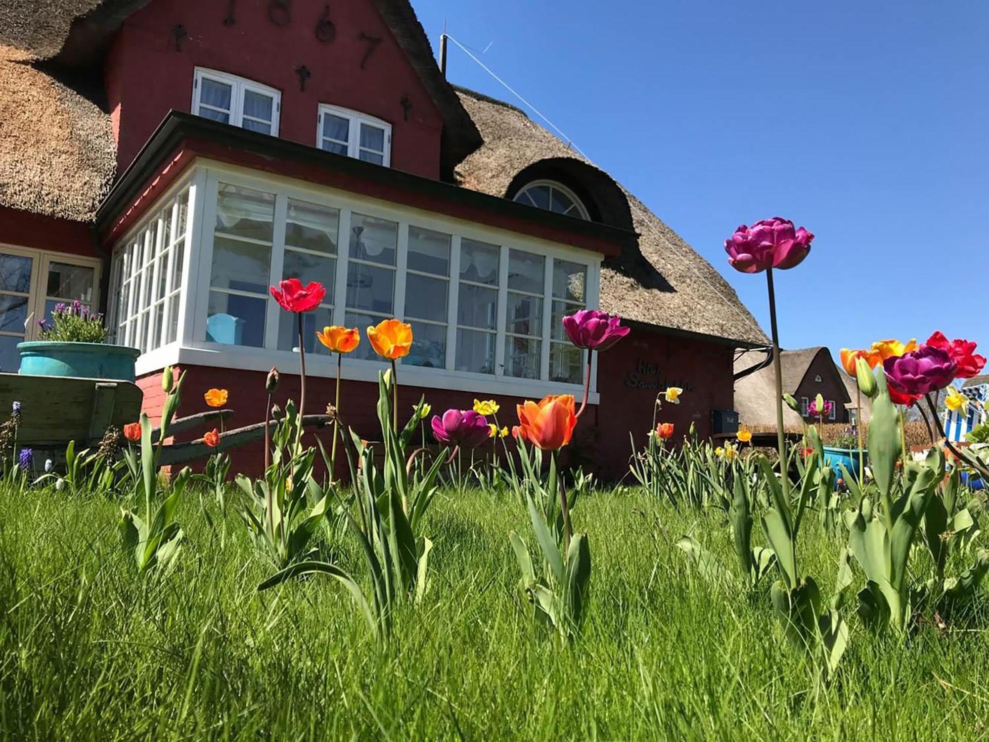 Hues Sanskiin Ferienwohnung *Hopelfask* Suddorf Esterno foto