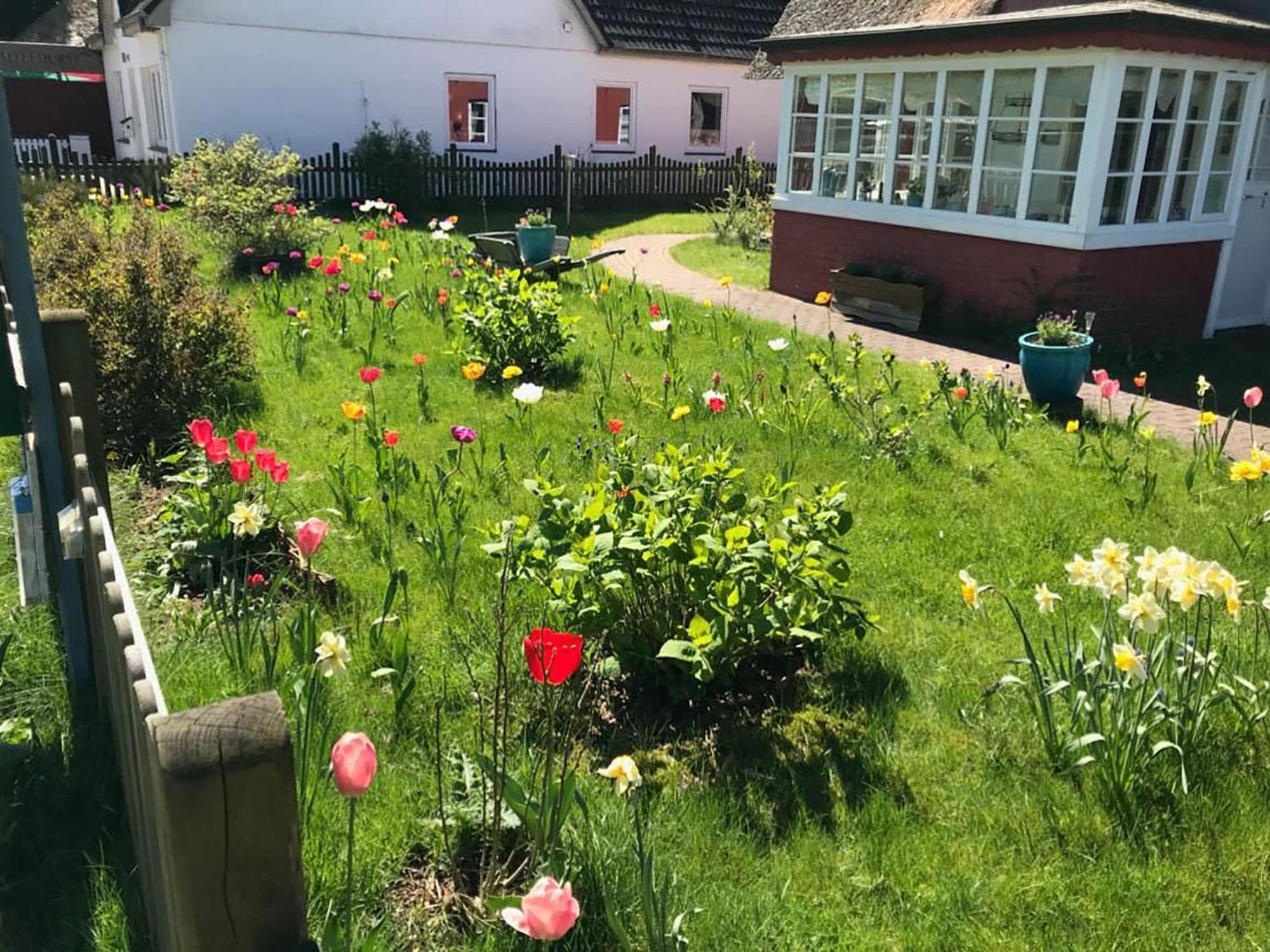 Hues Sanskiin Ferienwohnung *Hopelfask* Suddorf Esterno foto